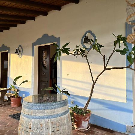 Aproveite O Sabor Do Alentejo Villa Vila Verde de Ficalho Eksteriør billede
