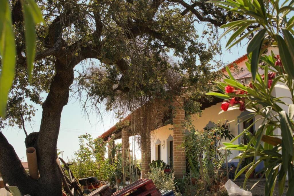 Aproveite O Sabor Do Alentejo Villa Vila Verde de Ficalho Eksteriør billede