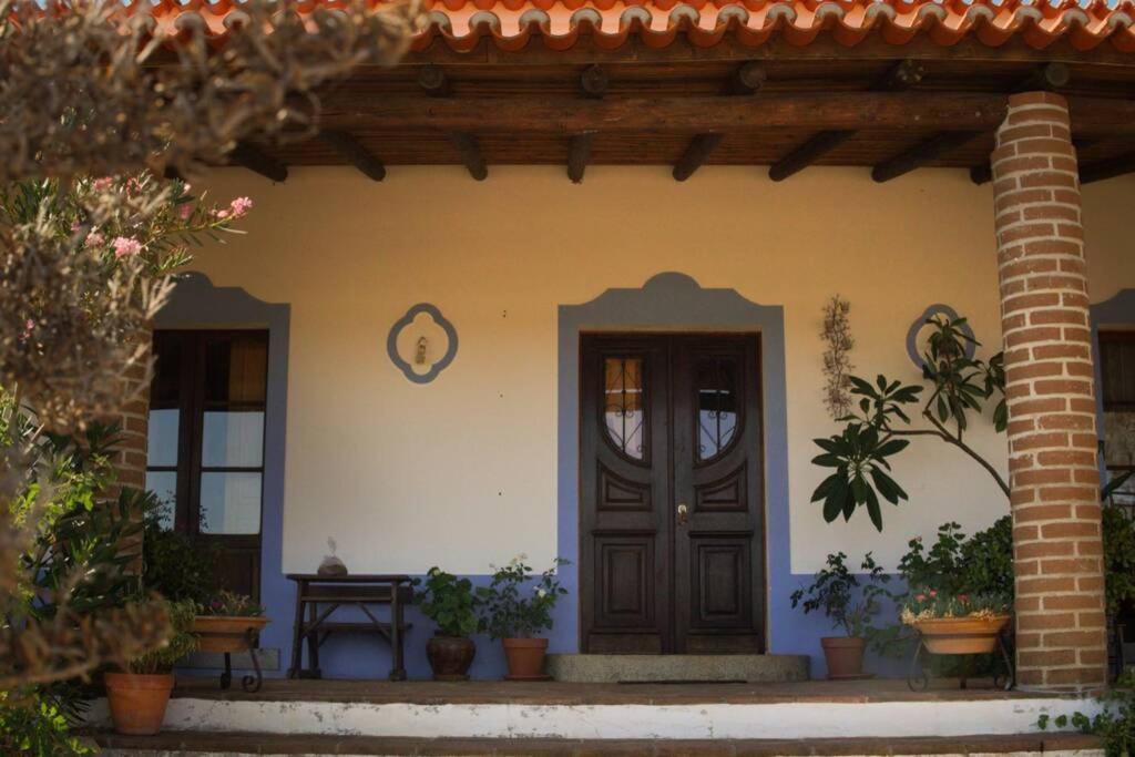 Aproveite O Sabor Do Alentejo Villa Vila Verde de Ficalho Eksteriør billede