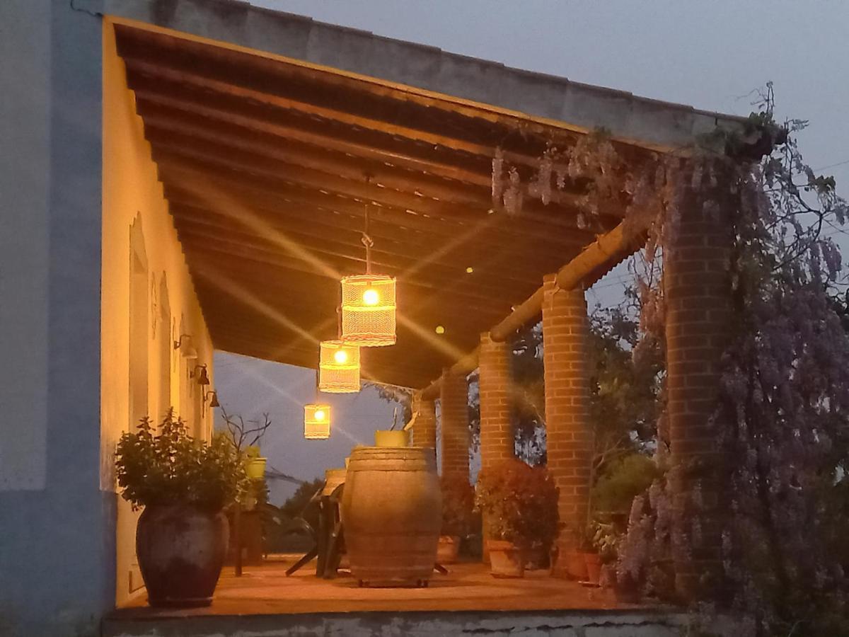 Aproveite O Sabor Do Alentejo Villa Vila Verde de Ficalho Eksteriør billede