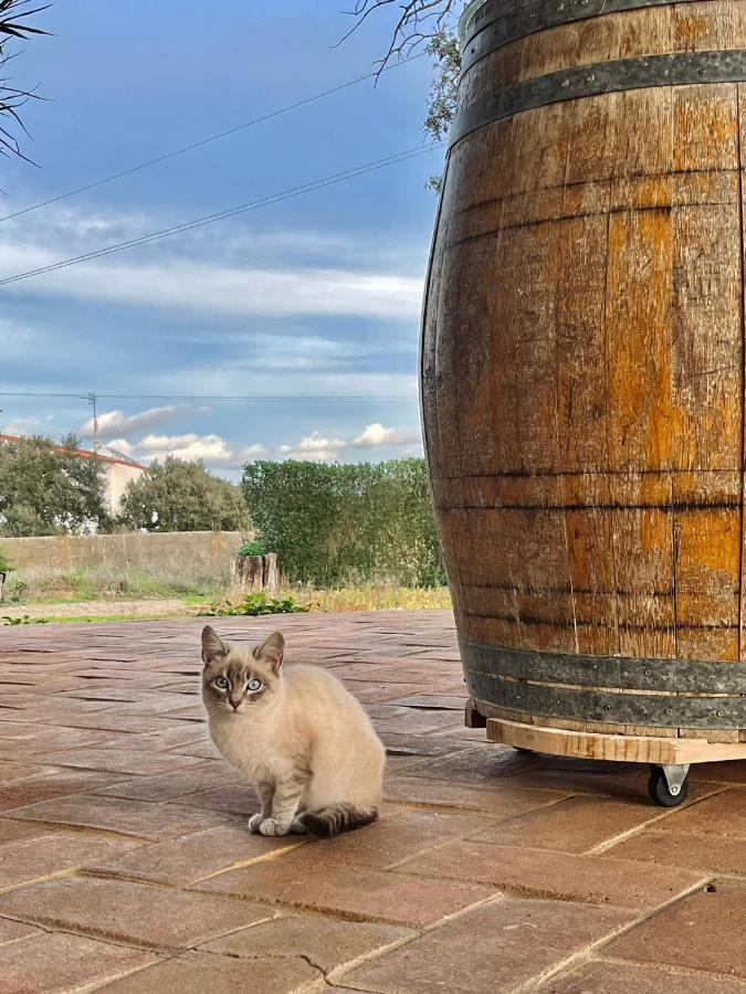 Aproveite O Sabor Do Alentejo Villa Vila Verde de Ficalho Eksteriør billede